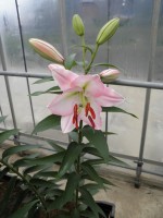 [1779 LakeMichigan No02.JPG]